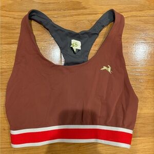 Tracksmith Brown and Red Sports Bra